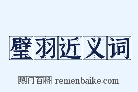 璧羽近义词是什么意思的图片